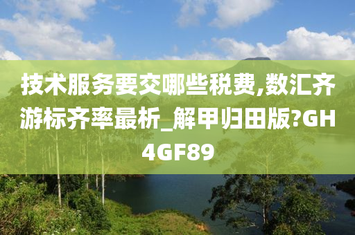 技术服务要交哪些税费,数汇齐游标齐率最析_解甲归田版?GH4GF89