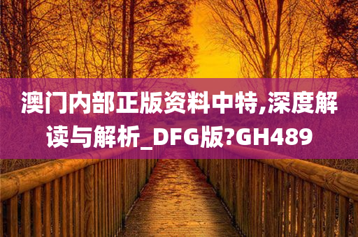 澳门内部正版资料中特,深度解读与解析_DFG版?GH489