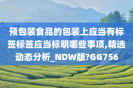 预包装食品的包装上应当有标签标签应当标明哪些事项,精选动态分析_NDW版?GG756