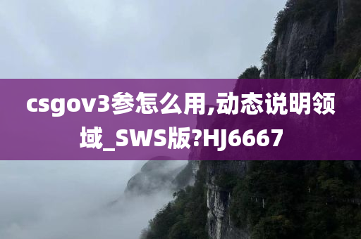 csgov3参怎么用,动态说明领域_SWS版?HJ6667