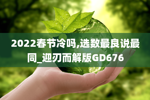 春节 第2页