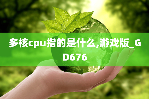 多核今晚必出三肖2025_2025新澳门精准免费提供·精确判断cpu指的是什么,游戏版_GD676
