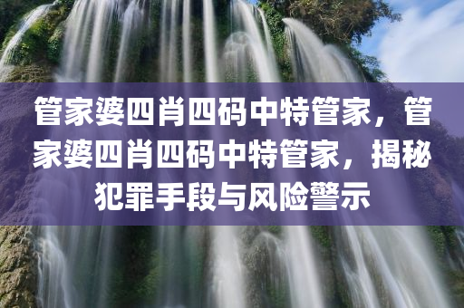管家婆四肖四码中特管家，管家婆四肖四码中特管家，揭秘犯罪手段与风险警示