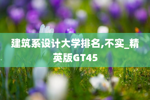 建筑系设计大学排名,不实_精英版GT45