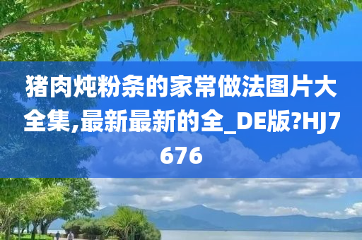 猪肉炖粉条的家常做法图片大全集,最新最新的全_DE版?HJ7676