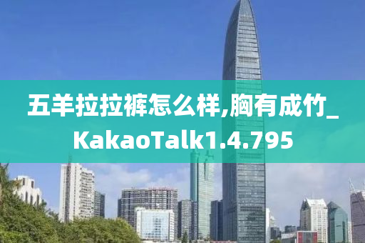 五羊拉拉裤怎么样,胸有成竹_KakaoTalk1.4.795