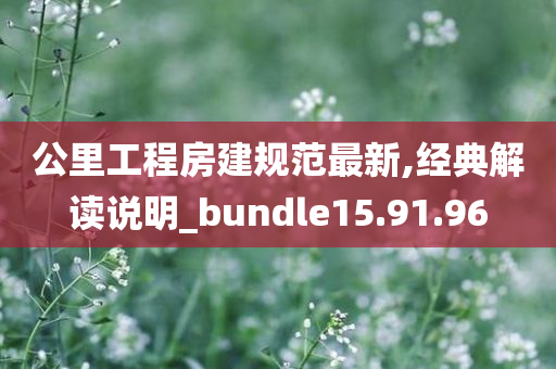 公里工程房建规范最新,经典解读说明_bundle15.91.96