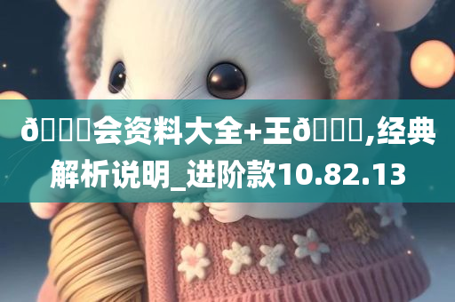 ??会资料大全+王??,经典解析说明_进阶款10.82.13