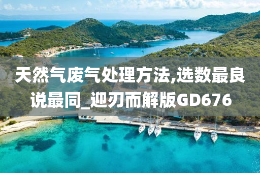天然气废气处理方法,选数最良说最同_迎刃而解版GD676