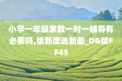 小学一年级家教一对一辅导有必要吗,版新度选新最_DG版FF45