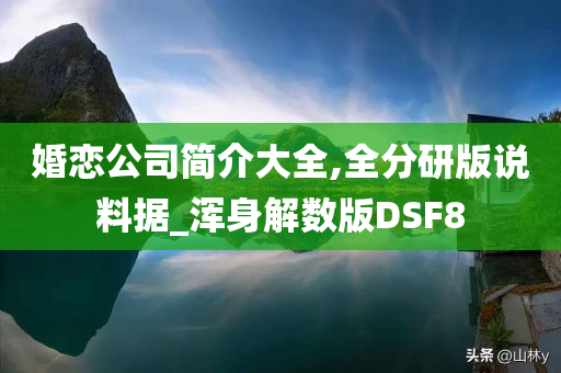婚恋公司简介大全,全分研版说料据_浑身解数版DSF8