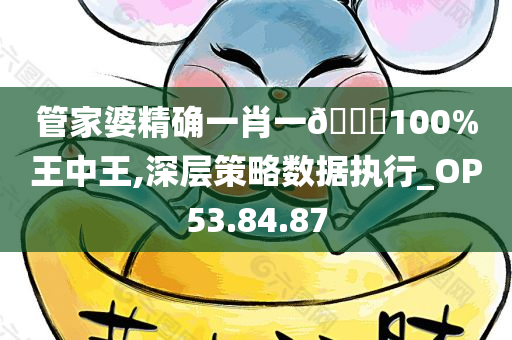 管家婆精确一肖一??100%王中王,深层策略数据执行_OP53.84.87