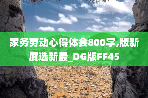 家务劳动心得体会800字,版新度选新最_DG版FF45