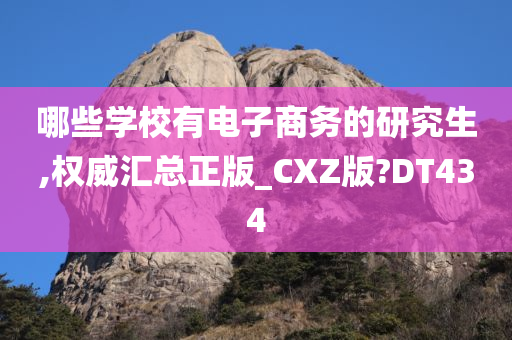 哪些学校有电子商务的研究生,权威汇总正版_CXZ版?DT434