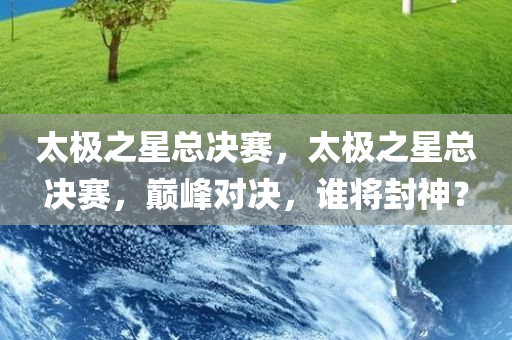 太极之星总决赛，太极之星总决赛，巅峰对决，谁将封神？