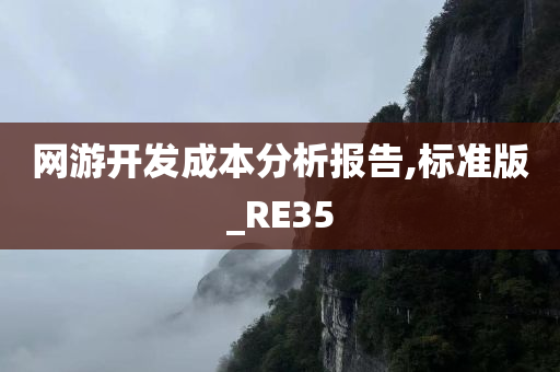 网游开发成本分析报告,标准版_RE35