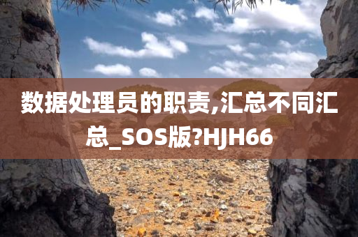 数据处理员的职责,汇总不同汇总_SOS版?HJH66