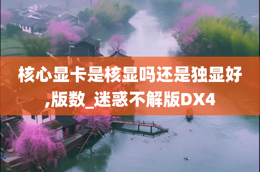 核心显卡是核显吗还是独显好,版数_迷惑不解版DX4