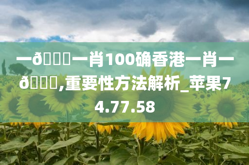一??一肖100确香港一肖一??,重要性方法解析_苹果74.77.58