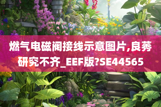 燃气电磁阀接线示意图片,良莠研究不齐_EEF版?SE44565今晚必出三肖2025_2025新澳门精准免费提供·精确判断
