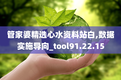 管家婆精选心水资料站白,数据实施导向_tool91.22.15