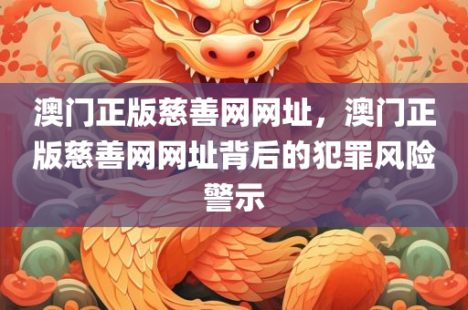 澳门正版慈善网网址，澳门正版慈善网网址背后的犯罪风险警示