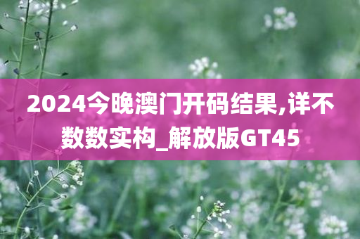 2024今晚澳门开码结果,详不数数实构_解放版GT45