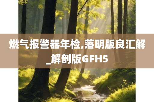 燃气报警器年检,落明版良汇解_解剖版GFH5