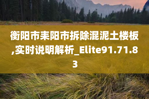 衡阳市耒阳市拆除混泥土楼板,实时说明解析_Elite91.71.83