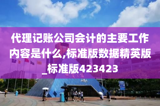 代理记账公司会计的主要工作内容是什么,标准版数据精英版_标准版423423