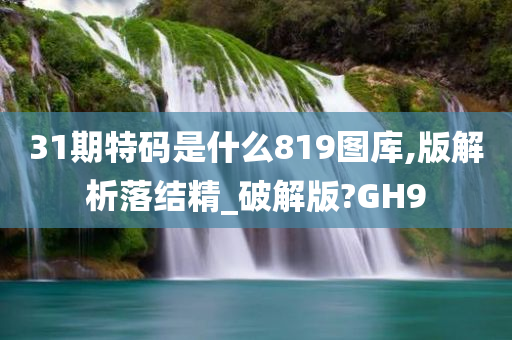 31期特码是什么819图库,版解析落结精_破解版?GH9