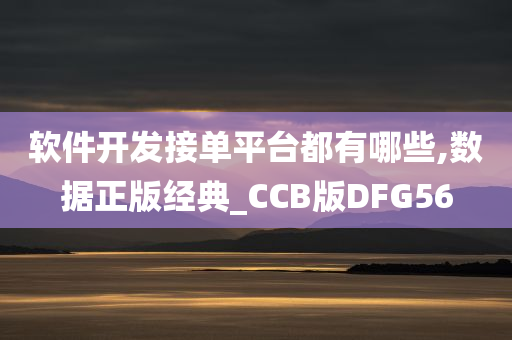 软件开发接单平台都有哪些,数据正版经典_CCB版DFG56
