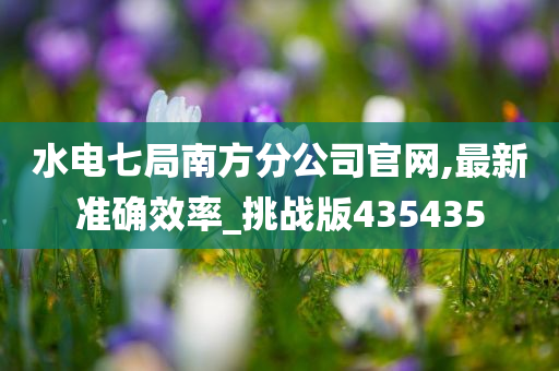 水电七局南方分公司官网,最新准确效率_挑战版435435