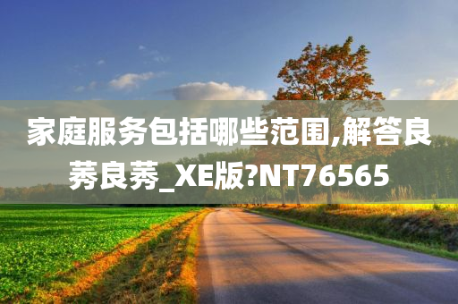 家庭服务包括哪些范围,解答良莠良莠_XE版?NT76565