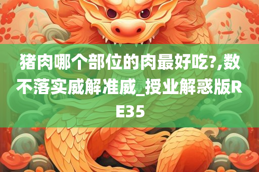 猪肉哪个部位的肉最好吃?,数不落实威解准威_授业解惑版RE35