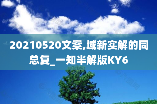 20210520文案,域新实解的同总复_一知半解版KY6