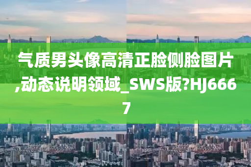 气质男头像高清正脸侧脸图片,动态说明领域_SWS版?HJ6667