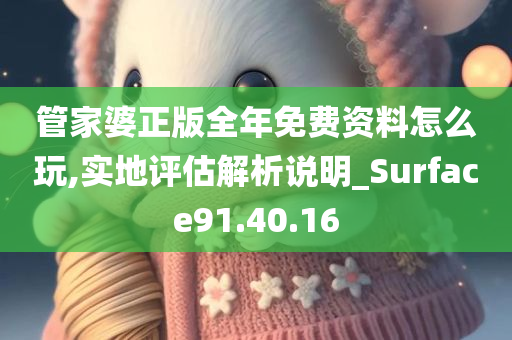 管家婆正版全年免费资料怎么玩,实地评估解析说明_Surface91.40.16