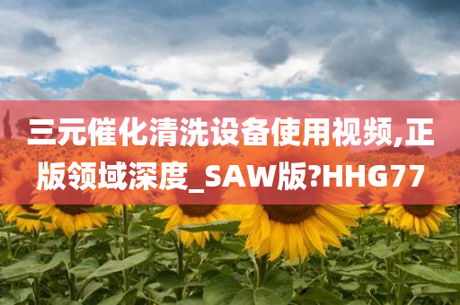三元催化清洗设备使用视频,正版领域深度_SAW版?HHG77