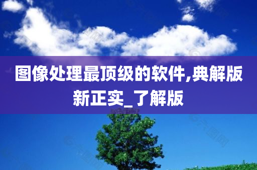 图像处理最顶级的软件,典解版新正实_了解版
