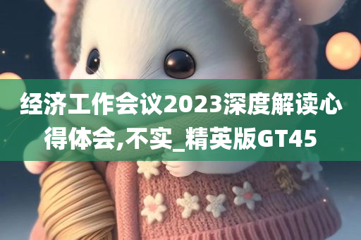 经济工作会议2023深度解读心得体会,不实_精英版GT45