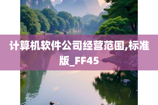 计算机软件公司经营范围,标准版_FF45