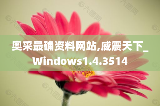 奥采最确资料网站,威震天下_Windows1.4.3514