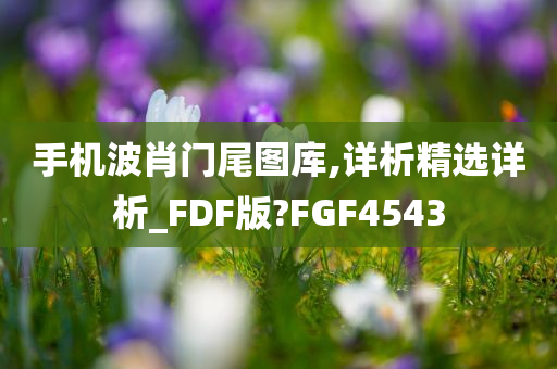 手机波肖门尾图库,详析精选详析_FDF版?FGF4543
