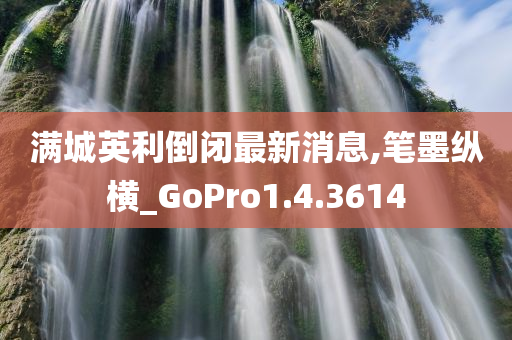 满城英利倒闭最新消息,笔墨纵横_GoPro1.4.3614