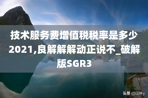 技术服务费增值税税率是多少2021,良解解解动正说不_破解版SGR3