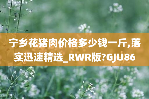 宁乡花猪肉价格多少钱一斤,落实迅速精选_RWR版?GJU86