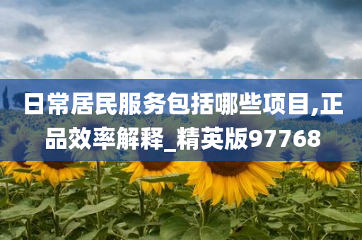 日常居民服务包括哪些项目,正品效率解释_精英版97768