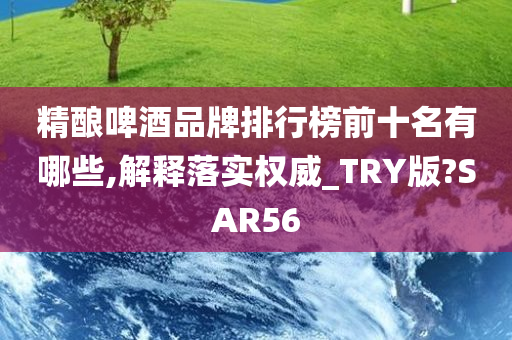 精酿啤酒品牌排行榜前十名有哪些,解释落实权威_TRY版?SAR56