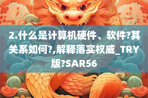 2.什么是计算机硬件、软件?其关系如何?,解释落实权威_TRY版?SAR56